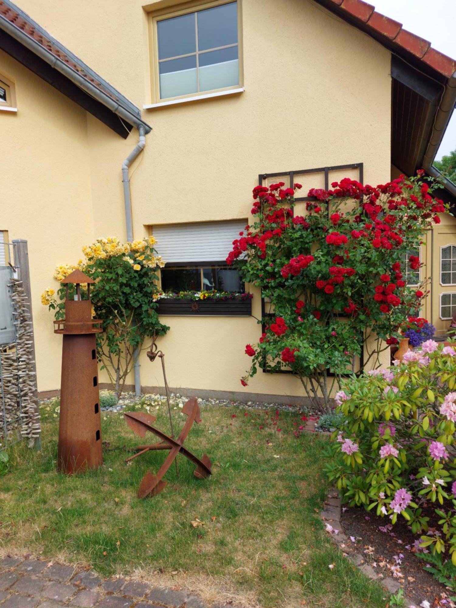 Ostseeferien In Lichtenhagen-Dorf Ferienwohnung Elmenhorst/Lichtenhagen Εξωτερικό φωτογραφία