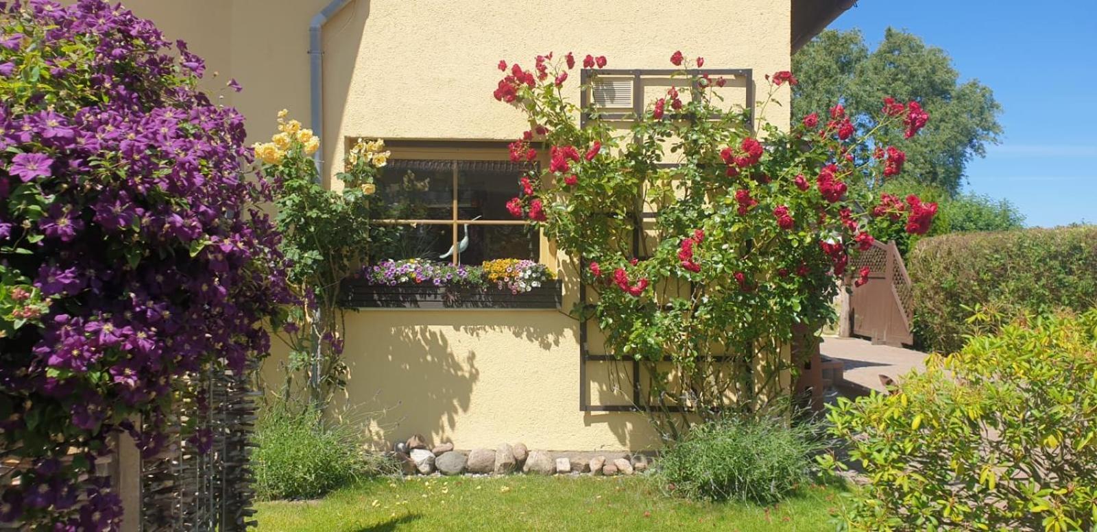 Ostseeferien In Lichtenhagen-Dorf Ferienwohnung Elmenhorst/Lichtenhagen Εξωτερικό φωτογραφία